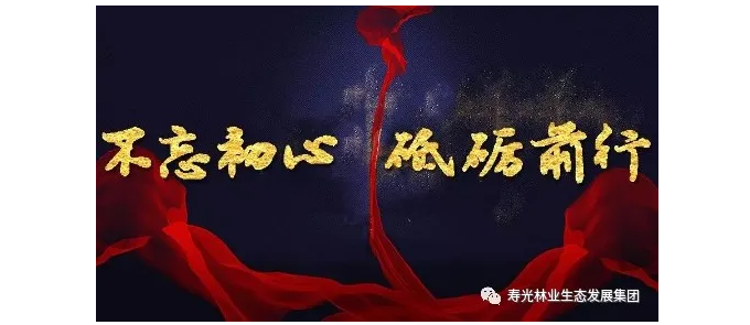 伟意国际(中国区)官方网站