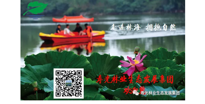 伟意国际(中国区)官方网站