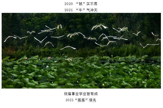 伟意国际(中国区)官方网站