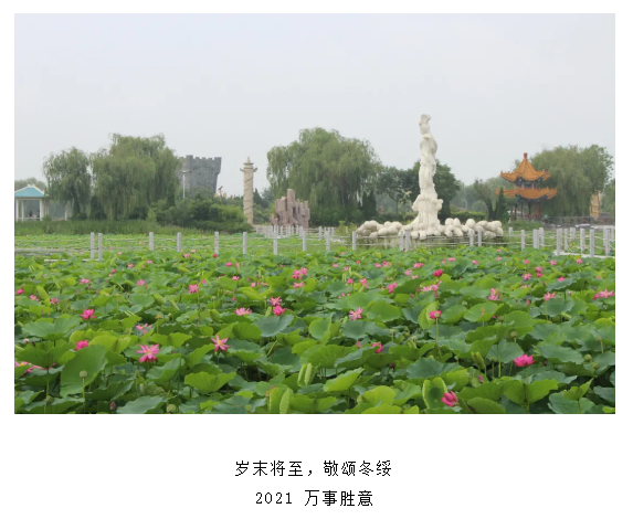 伟意国际(中国区)官方网站