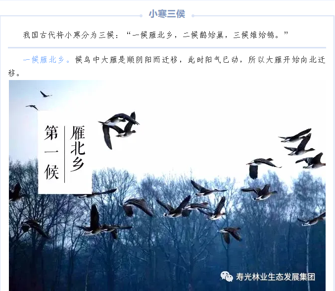 伟意国际(中国区)官方网站