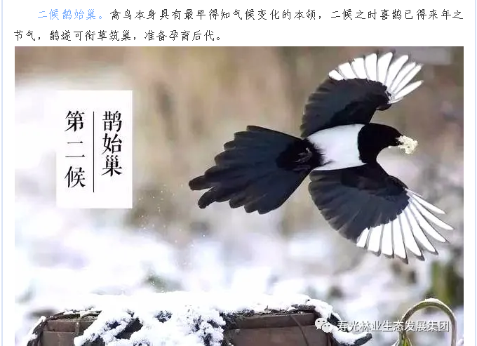 伟意国际(中国区)官方网站