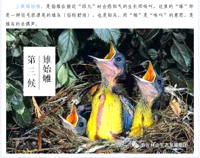 伟意国际(中国区)官方网站