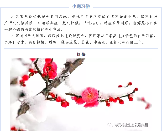 伟意国际(中国区)官方网站