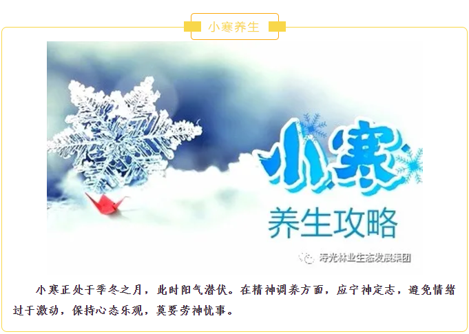 伟意国际(中国区)官方网站