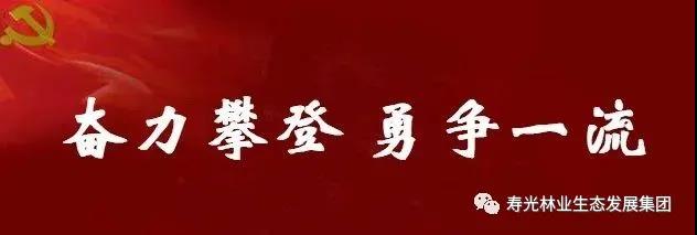 伟意国际(中国区)官方网站
