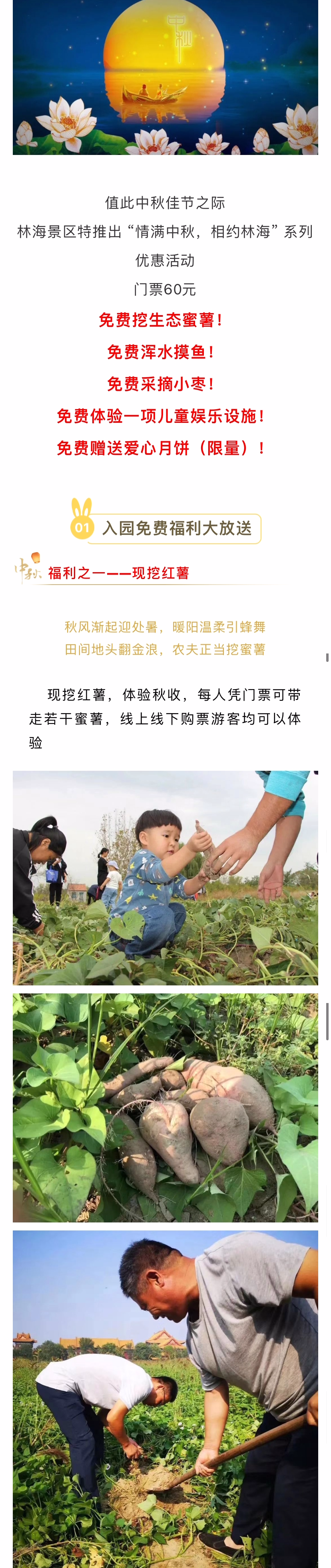 伟意国际(中国区)官方网站