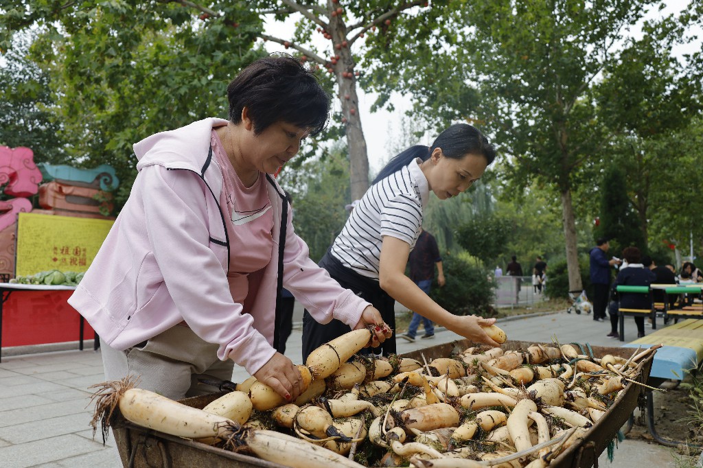 伟意国际(中国区)官方网站
