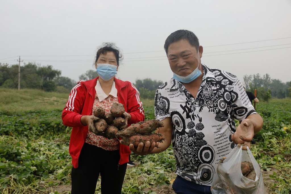 伟意国际(中国区)官方网站