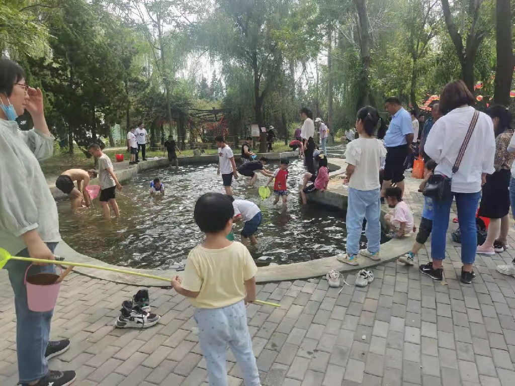 伟意国际(中国区)官方网站