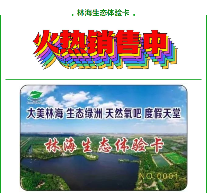 伟意国际(中国区)官方网站