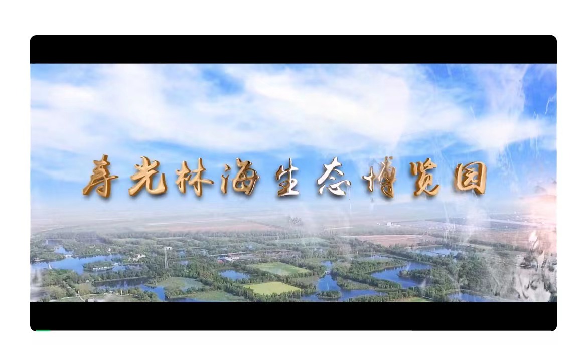 伟意国际(中国区)官方网站