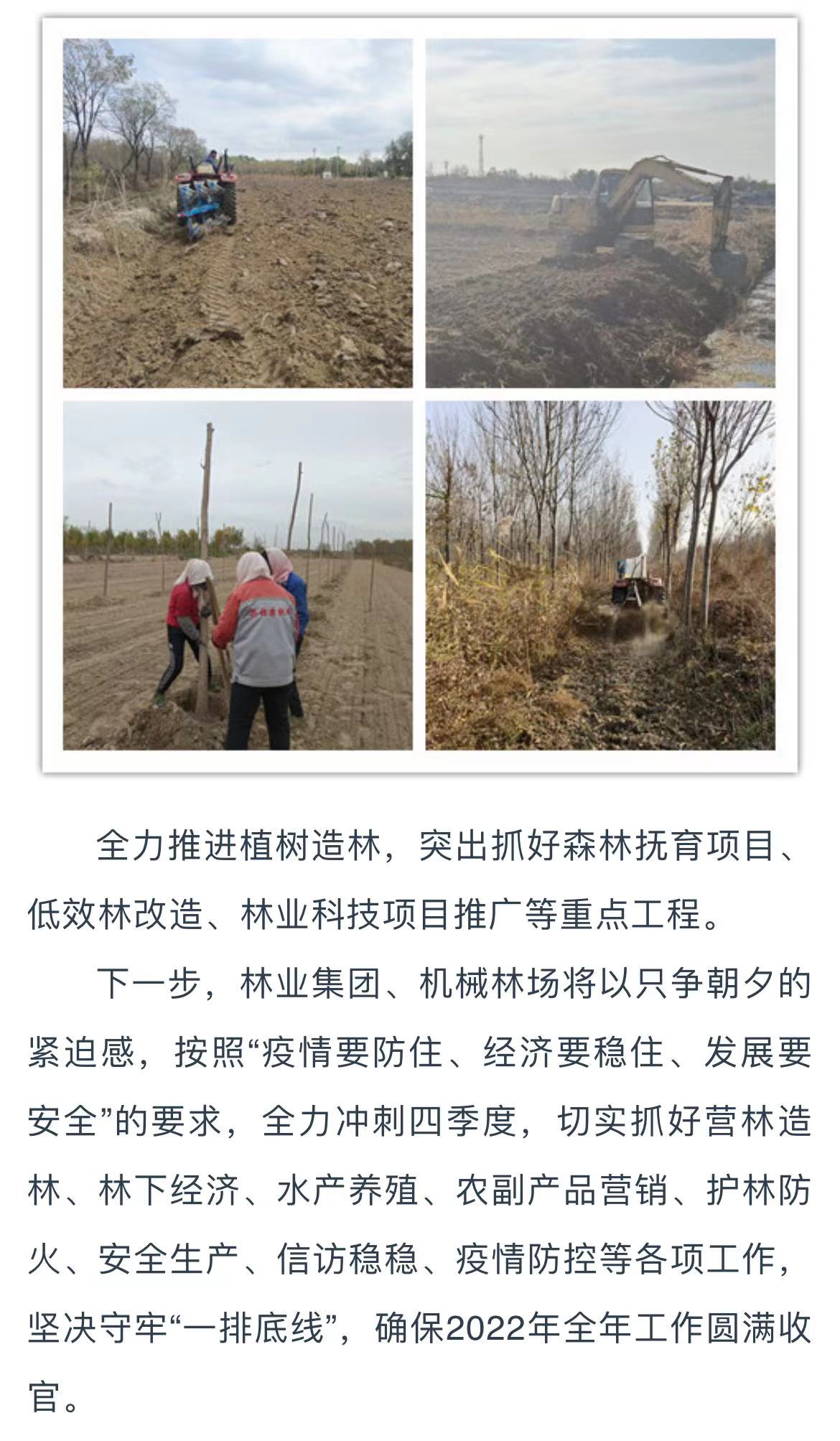 伟意国际(中国区)官方网站