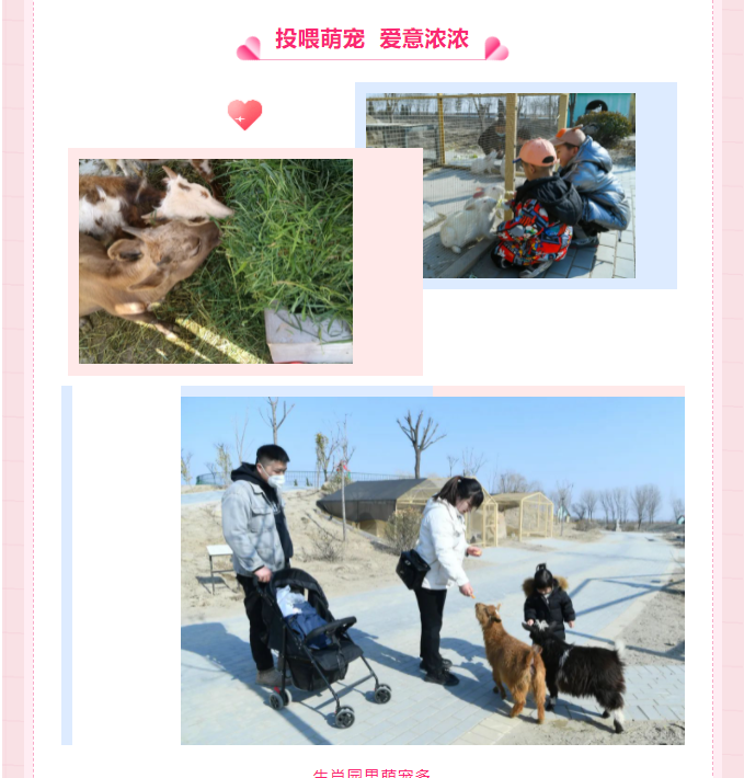 伟意国际(中国区)官方网站