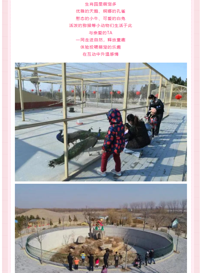 伟意国际(中国区)官方网站