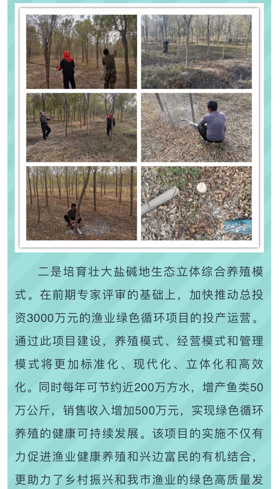 伟意国际(中国区)官方网站