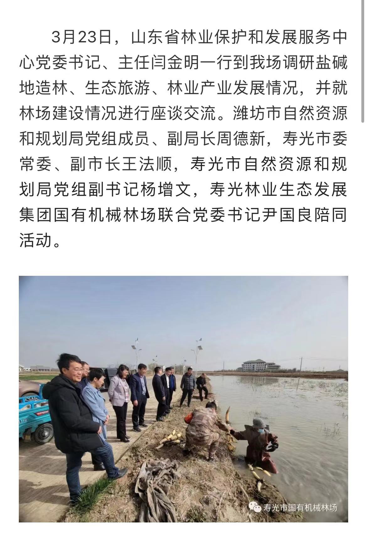 伟意国际(中国区)官方网站