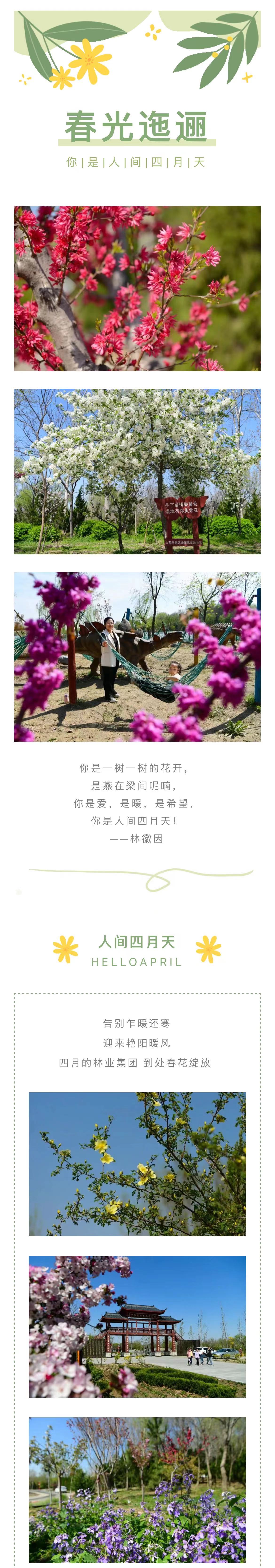 伟意国际(中国区)官方网站