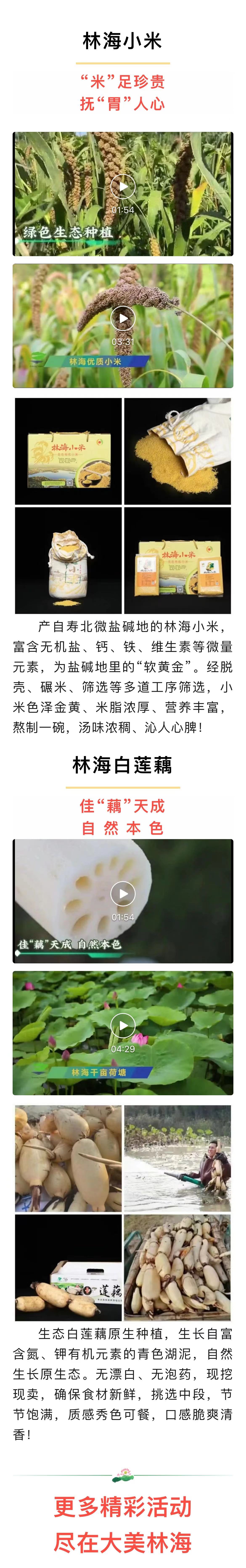 伟意国际(中国区)官方网站