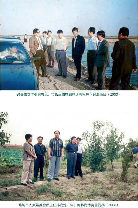 伟意国际(中国区)官方网站