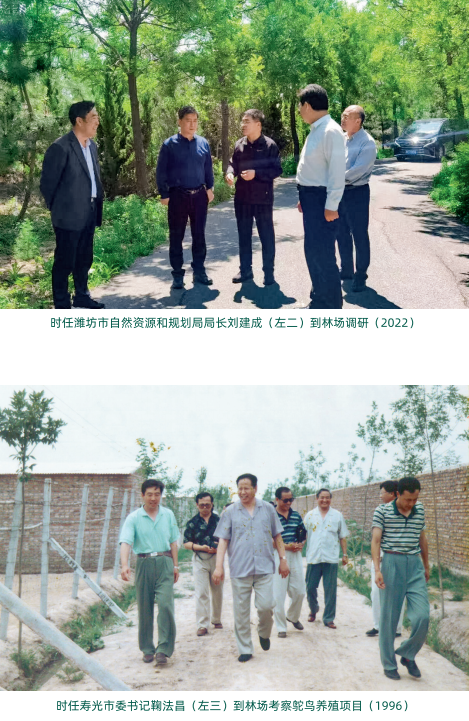 伟意国际(中国区)官方网站