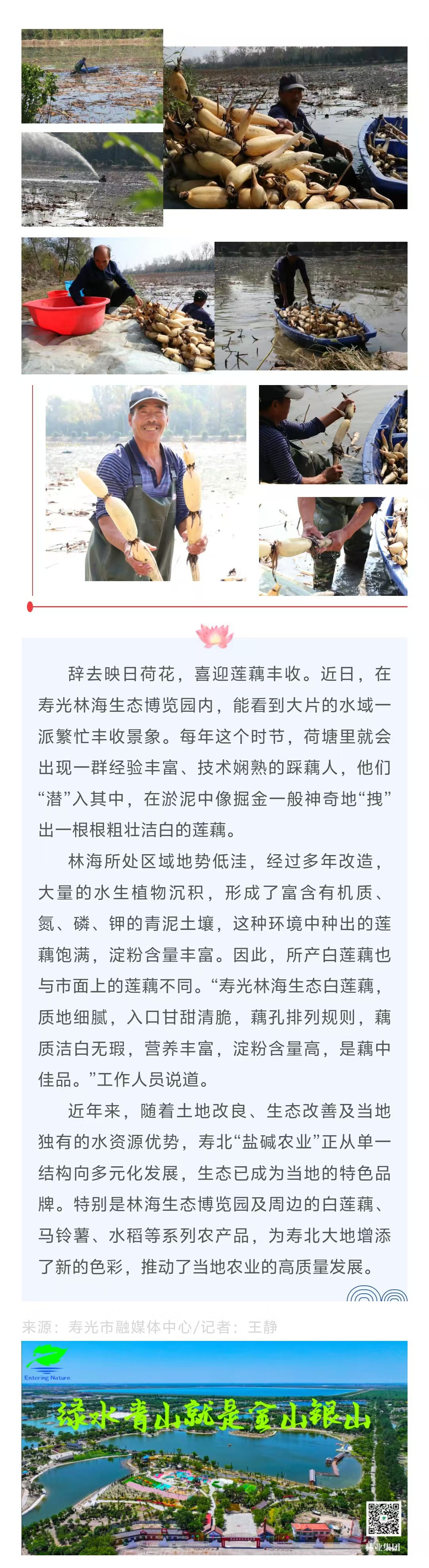 伟意国际(中国区)官方网站