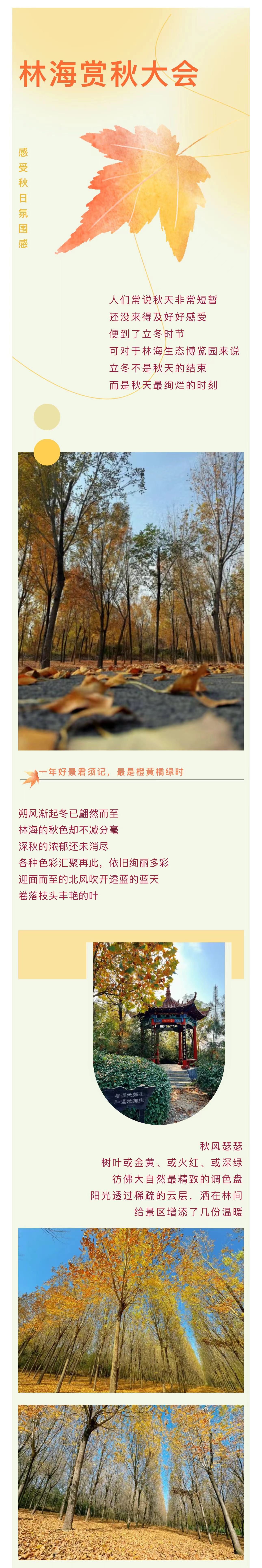 伟意国际(中国区)官方网站