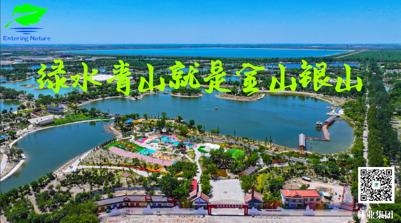 伟意国际(中国区)官方网站