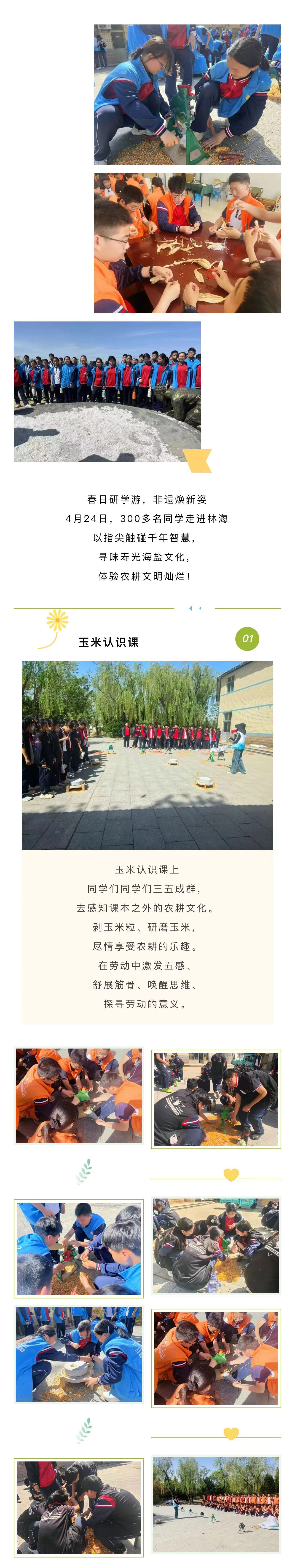 伟意国际(中国区)官方网站