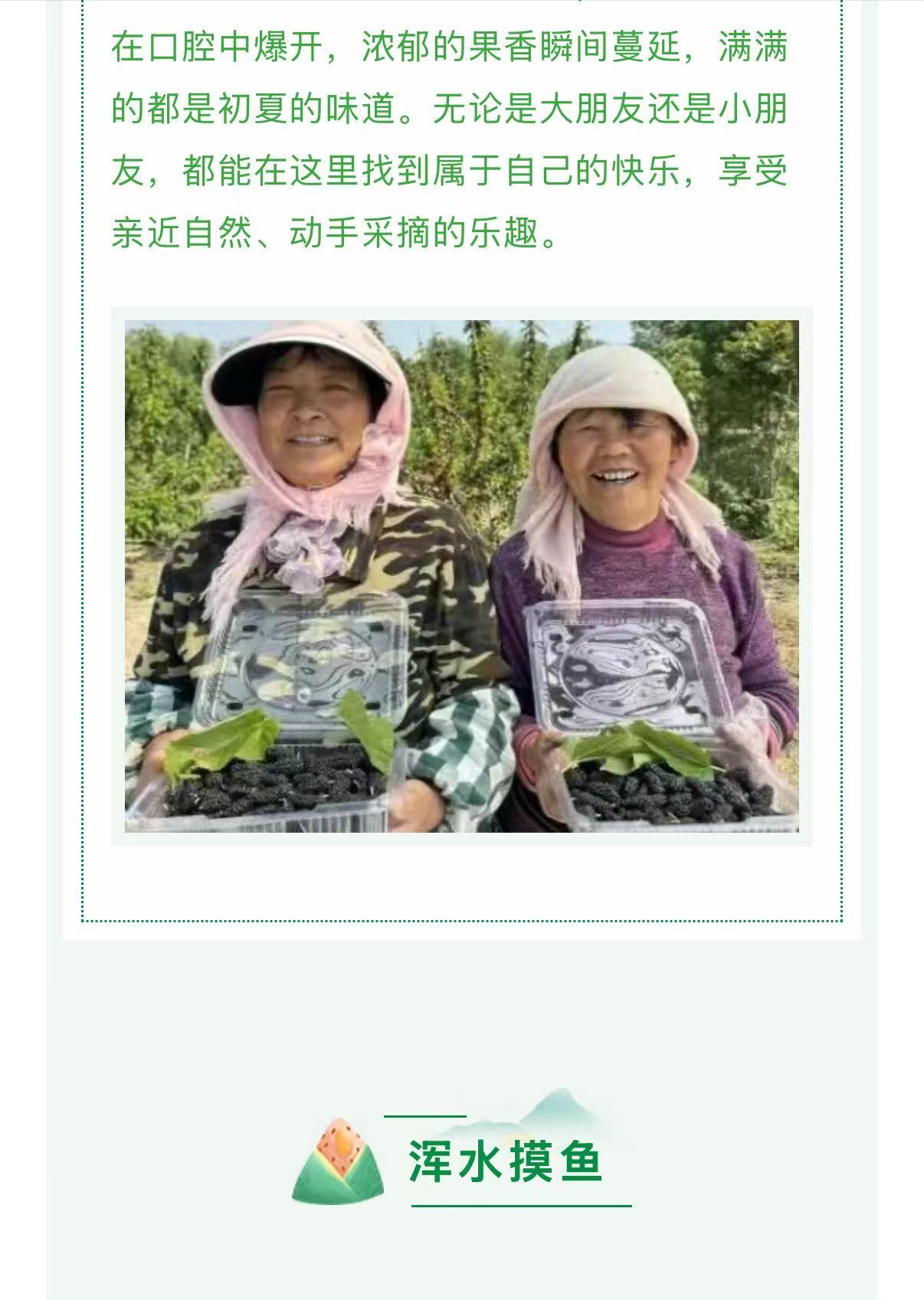 伟意国际(中国区)官方网站