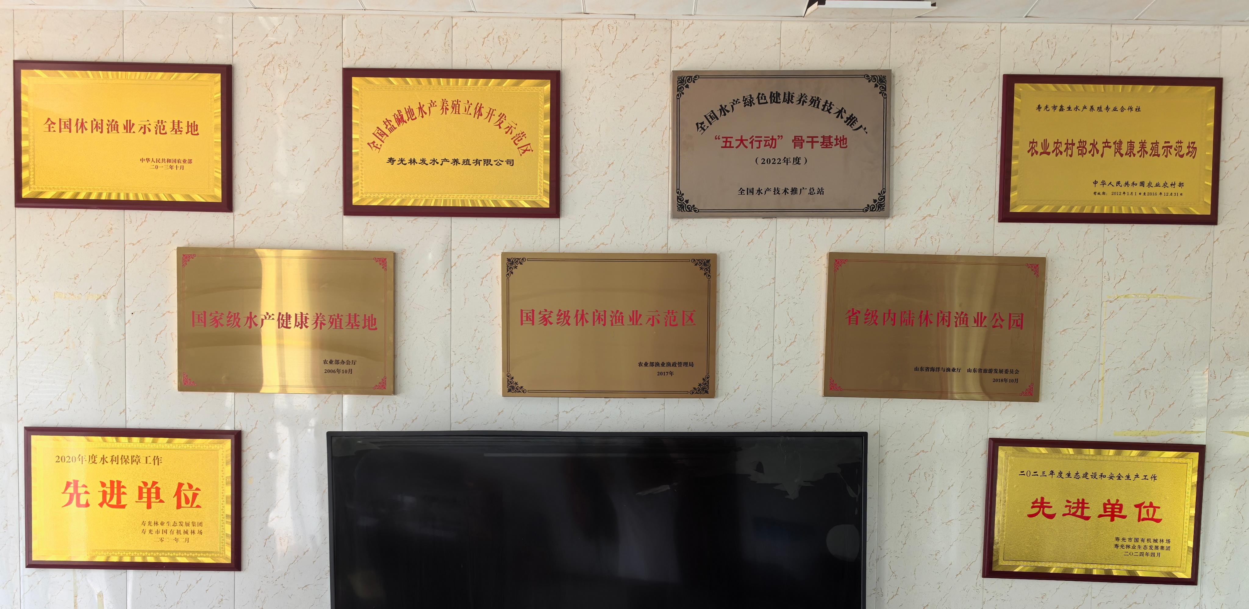 伟意国际(中国区)官方网站