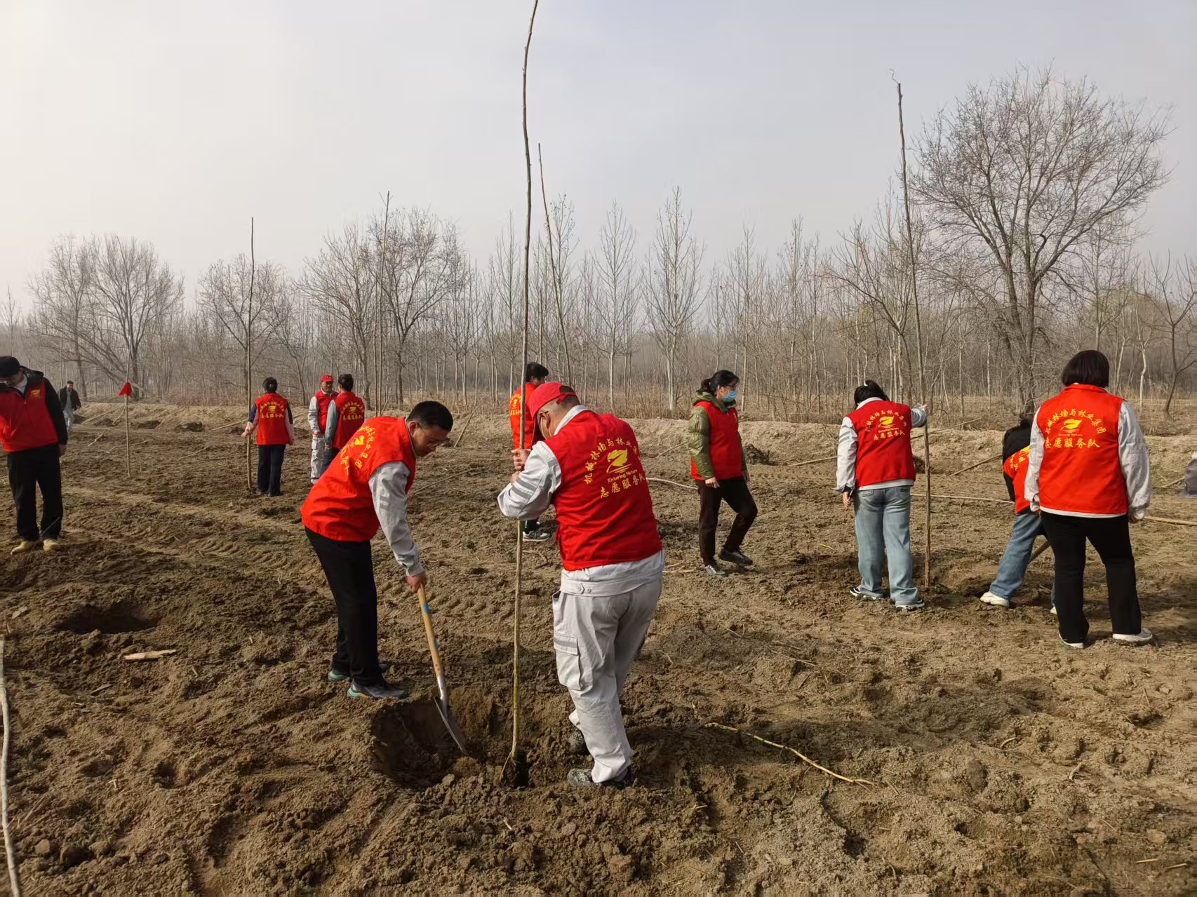 伟意国际(中国区)官方网站