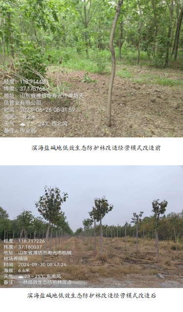 伟意国际(中国区)官方网站