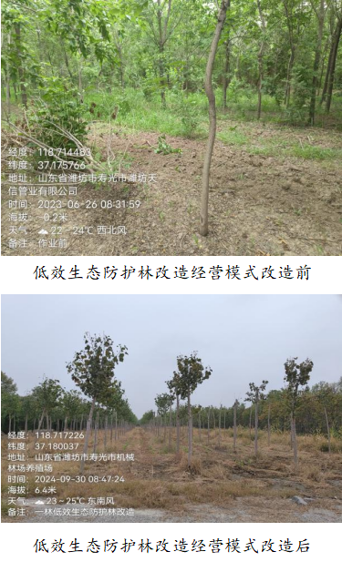 伟意国际(中国区)官方网站